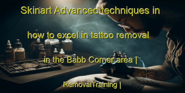 Skinart Advanced techniques in how to excel in tattoo removal in the Babb Corner area | RemovalTraining | RemovalClasses | SkinartTraining-United States